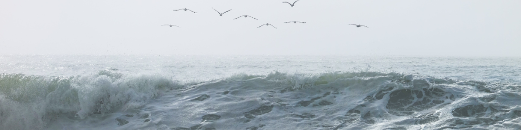 Mer